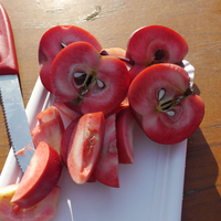 rote Apfelhälften